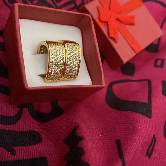 Sparkly Hinged Earrings - Picture 6 of 7